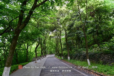 <b>华山南路传统商铺建筑群</b>、