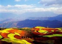 东川红土、