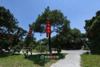 亚坪步道、