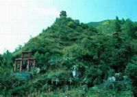 龙安瘦石山摩岩、
