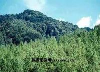 南捧河省级自然保护区、