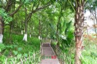 保山太保森林公园、