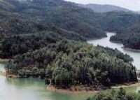 龙陵八0八水库、