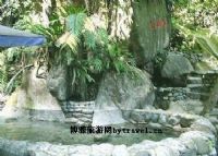 樱花谷、