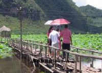 野鸭湖湿地、