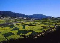 <b>曲陀关</b>、
