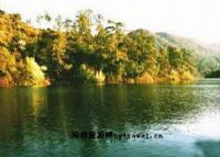 灵芝湖森林公园、