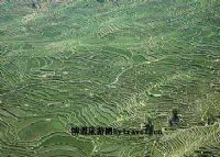 撒玛坝梯田、