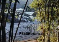 腊姑、桐株德玛梯田景区、