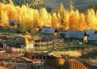 大羊街乡哈尼村、