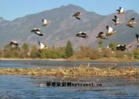 草海湿地、