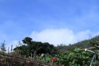 云龙天子山景区、
