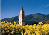 佛图寺塔、
